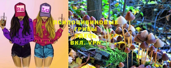 хмурый Баксан