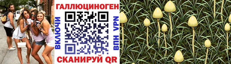 магазин продажи   гидра зеркало  Галлюциногенные грибы Magic Shrooms  Высоцк 